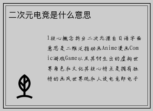 二次元电竞是什么意思